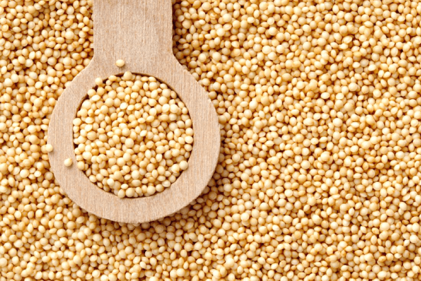 Amaranth Superfood Amaranth Superfood