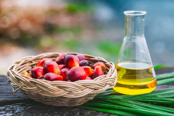 Palm Cooking Oil for tasty recipes Palm Cooking Oil for tasty recipes
