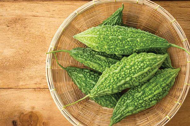 Bitter gourd can be a great summer vegetable Bitter gourd can be a great summer vegetable