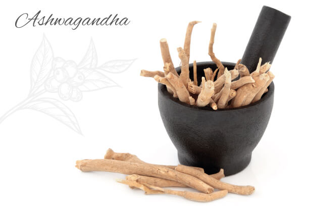 Ashwagandha has many health benefits Ashwagandha has many health benefits