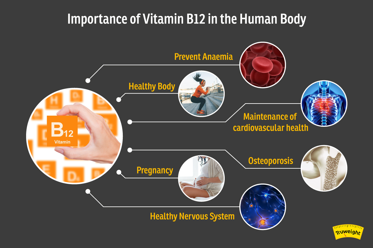 Health benefits of Vitamin B12