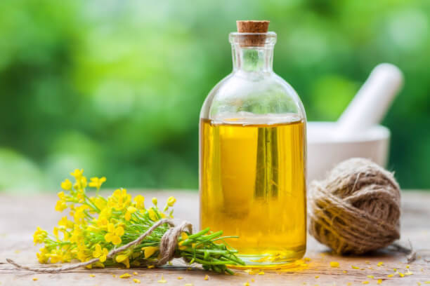 Canola Cooking Oil Canola Cooking Oil