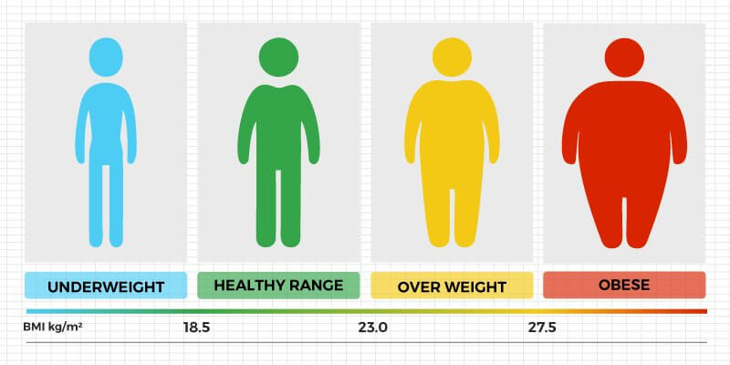 BMI values and weight category BMI values along with weight category