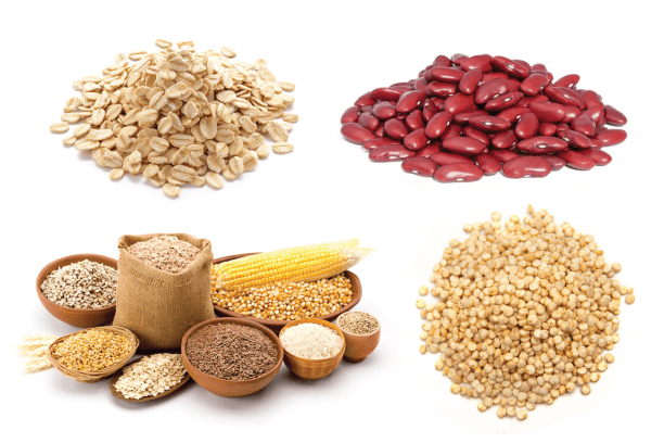 High Carb Foods To Include In Your Diet High Carb Foods To Include In Your Diet