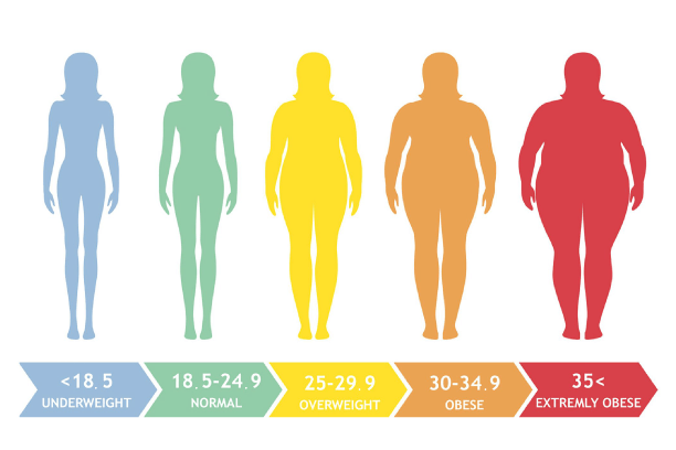 BMI Value BMI Value