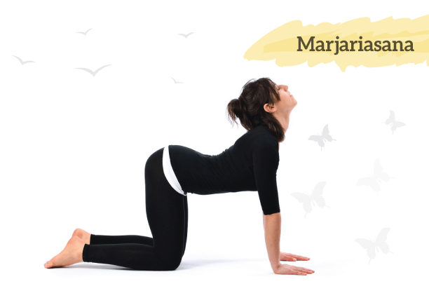 Marjariasana Marjariasana