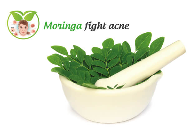 Moringa fight acne Moringa fight acne
