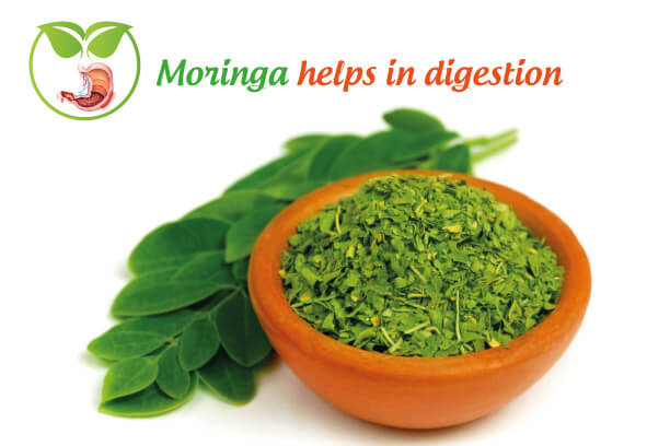 Moringa helps in digestion Moringa helps in digestion