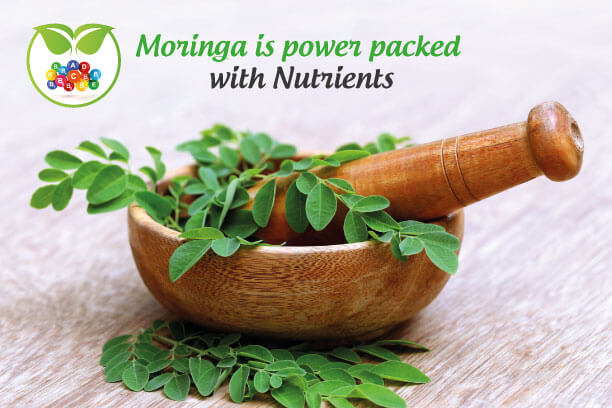 Moringa is power-packed with Nutrients Moringa is power-packed with Nutrients