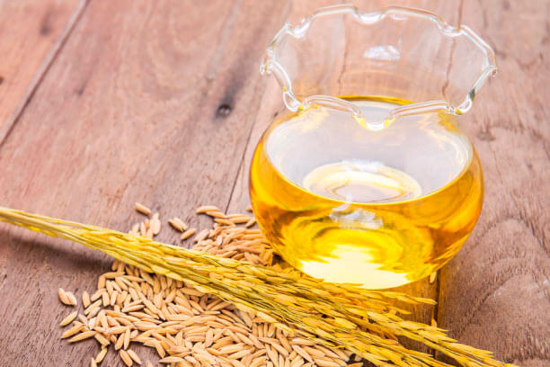 Rice Bran Cooking Oil Rice Bran Cooking Oil