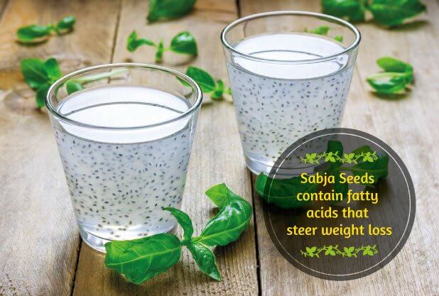 Sabja Seeds contain fatty acids for weight loss Sabja Seeds contain fatty acids which promote weight loss