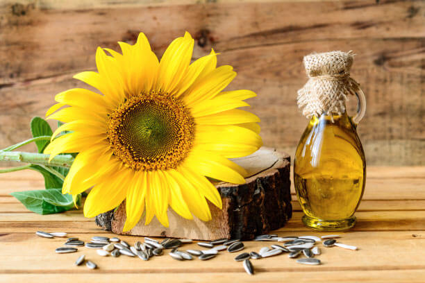 Sunflower Oil is a healthy cooking oil option Sunflower Oil is a healthy cooking oil option