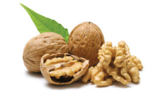 Walnut can improve cholesterol levels Walnut can improve cholesterol levels