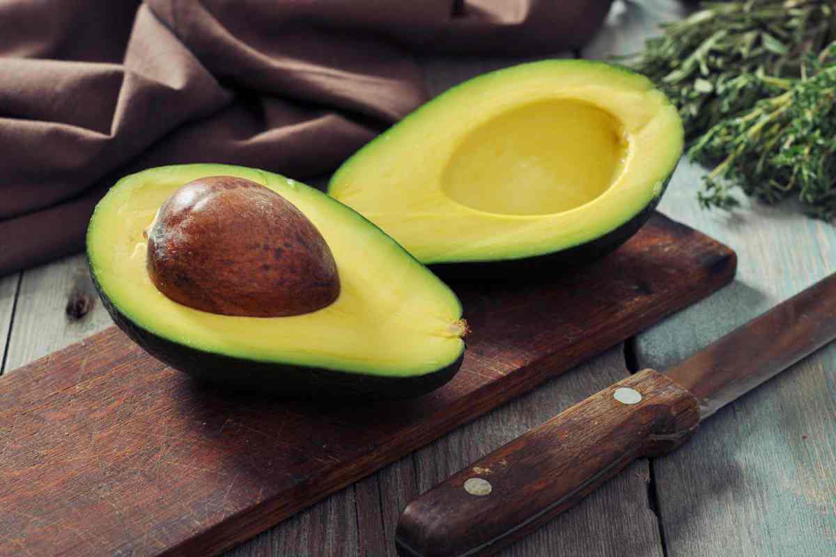 Avocado Avocado