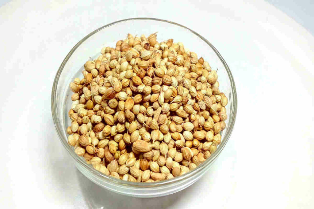 Coriander seed Coriander seed