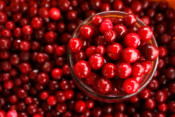 cranberry cranberry