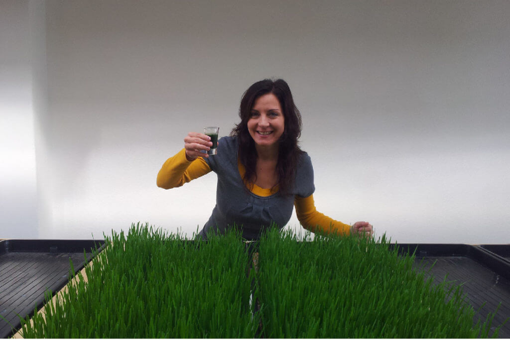 Wheatgrass weight loss benefits Wheatgrass weight loss benefits